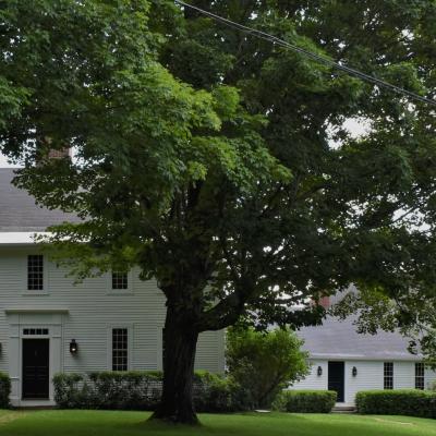 Classic two-story house surrounded by trees and greenery.