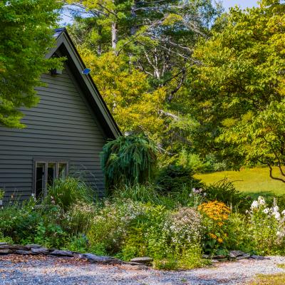 A house surrounded by a lush garden and trees in a sunny setting.