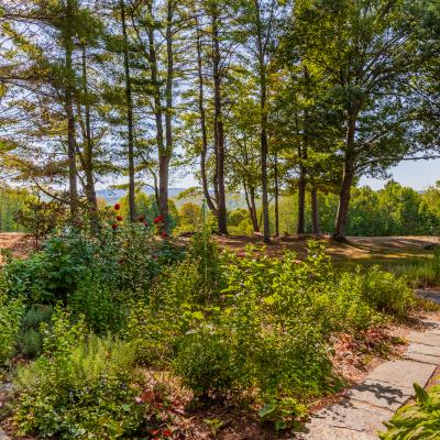 Pathway through a lush garden leading to trees and hills in the background.