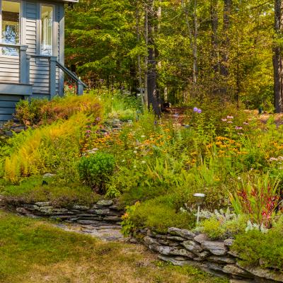A vibrant flower garden with diverse plants beside a blue house in a wooded area.