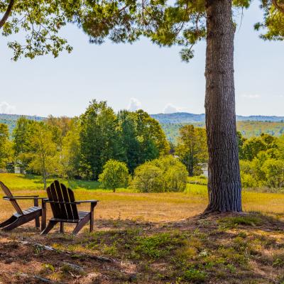 Two wooden chairs sit under trees, overlooking a colorful valley landscape.