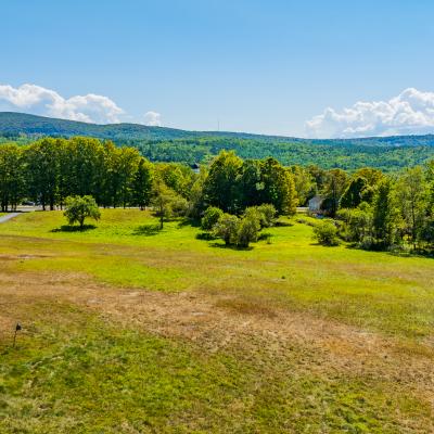 Expansive green field bordered by trees and distant mountains under a clear blue sky.