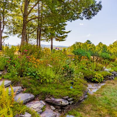 Lush garden with multicolored flowers and stone edging, surrounded by trees.