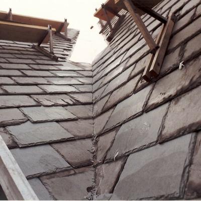 View of a sloped slate roof with scaffolding and a ladder.