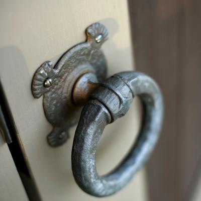 Close-up of an ornate metal door knocker on a wooden door.