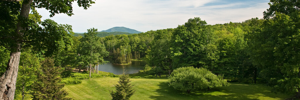 green open field with pond