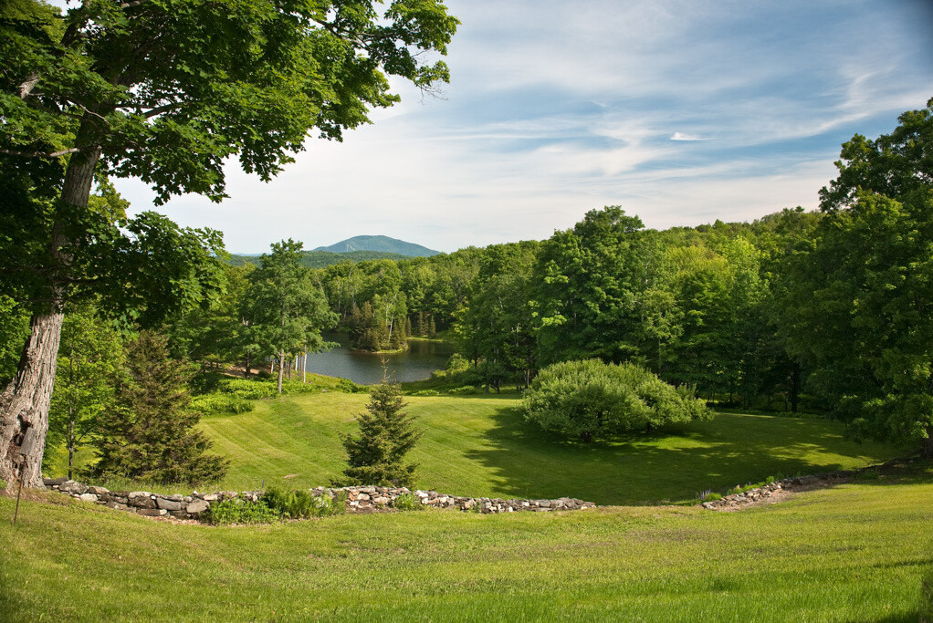Lush green landscape with a pond and distant mountains under a blue sky.