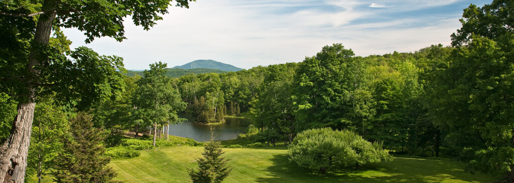 Lush green landscape with a pond and distant mountains under a blue sky.